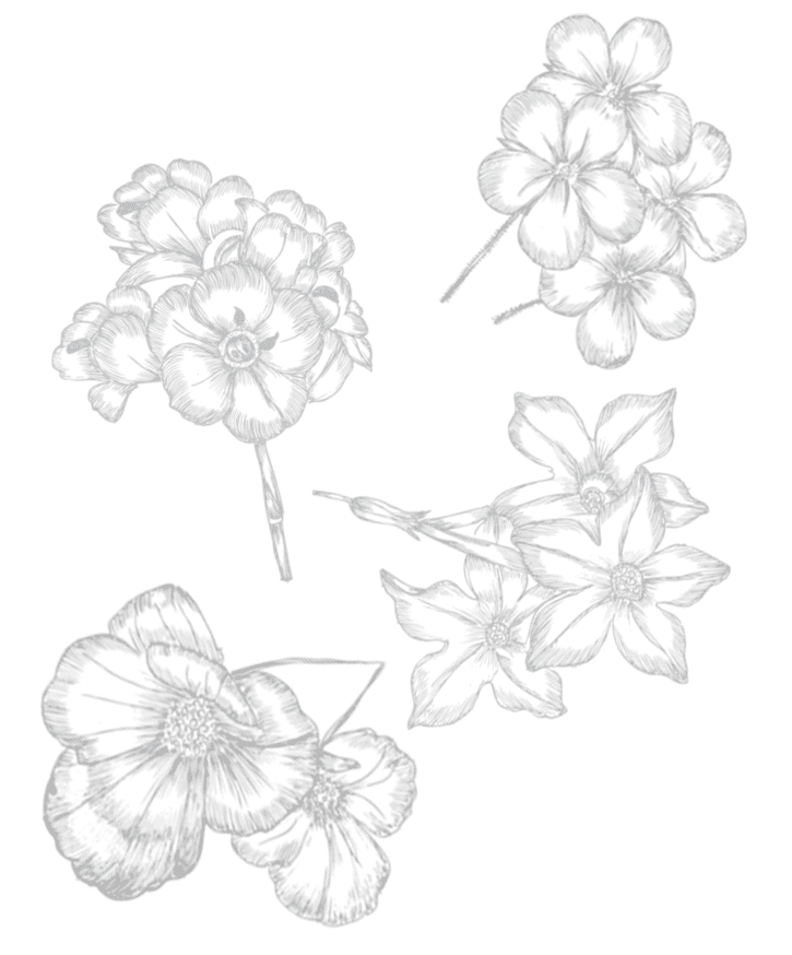 Image is not available